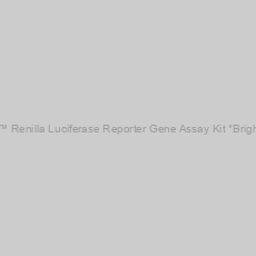 Image of Amplite™ Renilla Luciferase Reporter Gene Assay Kit *Bright Glow*